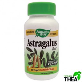 Astragalus 100 capsule vegetale 