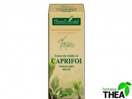 caprifoi