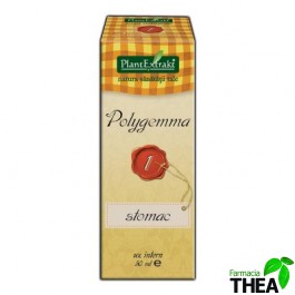 polygemma 1 stomac