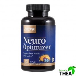 Neuro-Optimizer