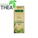 caprifoi