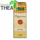polygemma 1 stomac