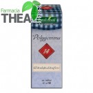 polygemma-14-articulatii-detoxifiere