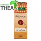 polygemma 2 - cai biliare