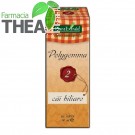 polygemma-3-tuse
