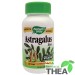 Astragalus 100 capsule vegetale 