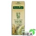 Extract amenti salcie 50ml PlantExtrakt